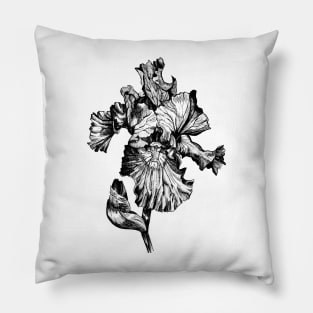 Ink - Iris Pillow