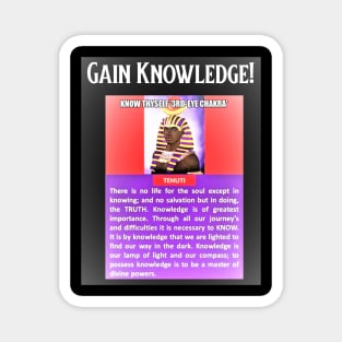 Gain Knowledge! Magnet