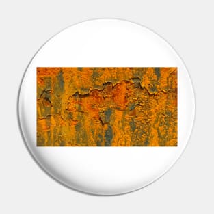 Natures RUST ART Patterns number TWO Pin