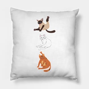 Funny sitting position of the cat Pillow