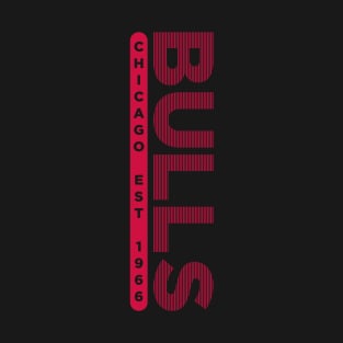 Chicago Bulls 10 T-Shirt