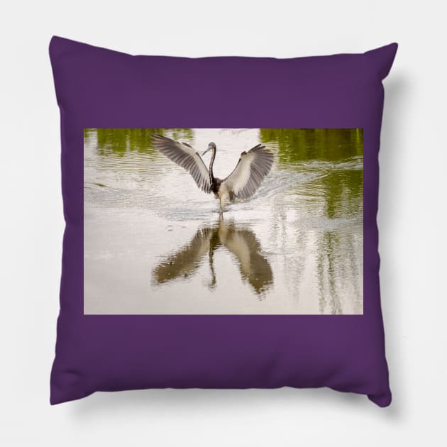 Tricolored Heron Angel Wings Pillow by Debra Martz