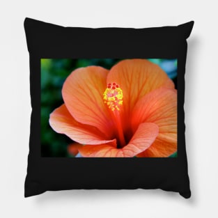 Red Hibiscus Clutch Pillow