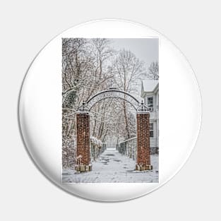 Snowy Park Entrance Pin