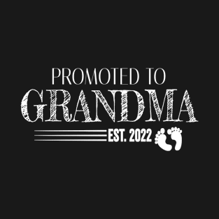 Promoted To Grandma Est.2022 Funny Motherhood Gifts T-Shirt