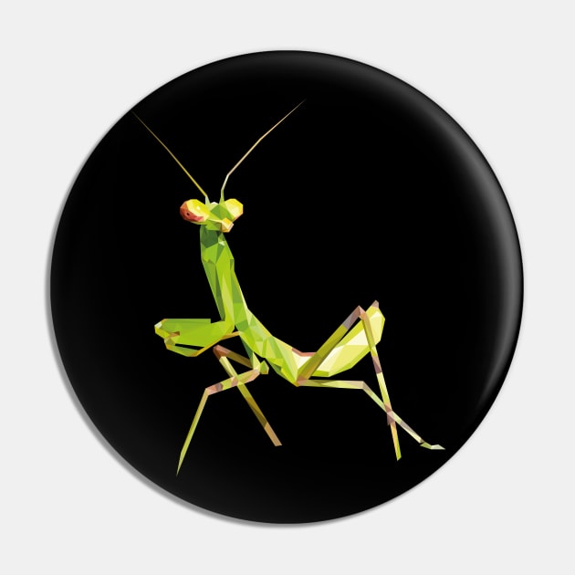 Mantis Pin by difrats