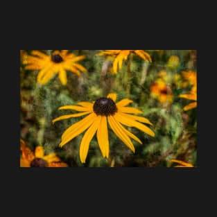 Black-eyed Susan T-Shirt