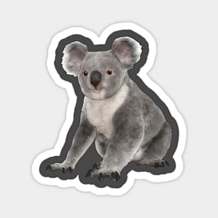 Koala Magnet