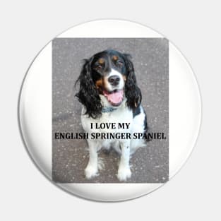 english springer spaniel black white tan love with picture Pin