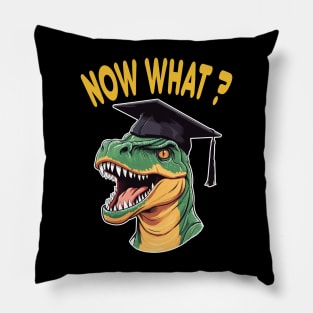 Graduation Pillow