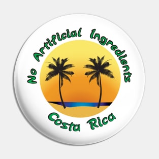 No artificial Ingredients Pin