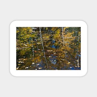 Autumn Reflection Magnet