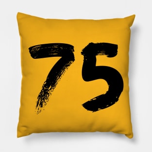 Number 75 Pillow