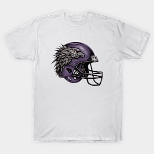 Baltimore Ravens and Orioles T-Shirt Design – Freelance Fridge-  Illustration & Character Development