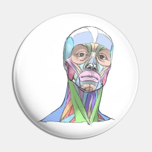 human body anatomy 3 Pin