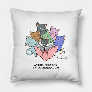 Actual Depiction of Homeschool Life Pillow