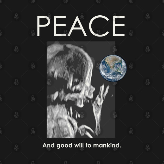 Peace to the World and Mankind Baby by The Witness