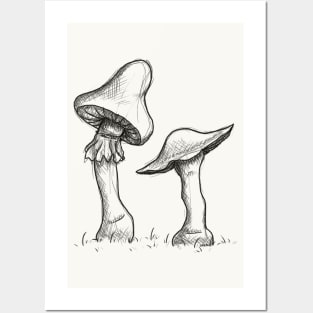 FAIRYCORE ART PRINT 8x8 Raccoon and Mushroom Art Print Fairycore