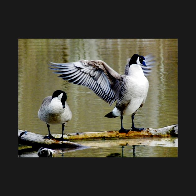 Goose Salute by LaurieMinor