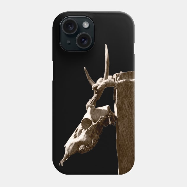 dead animal head bones Phone Case by rickylabellevie