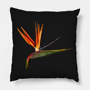 Single Strilitzia Flower Pillow