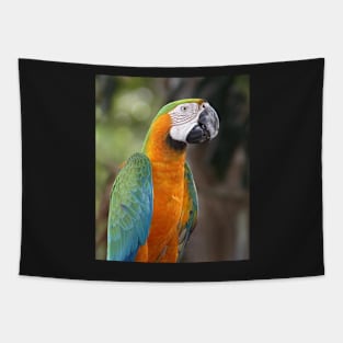 Harlequin Macaw Tapestry