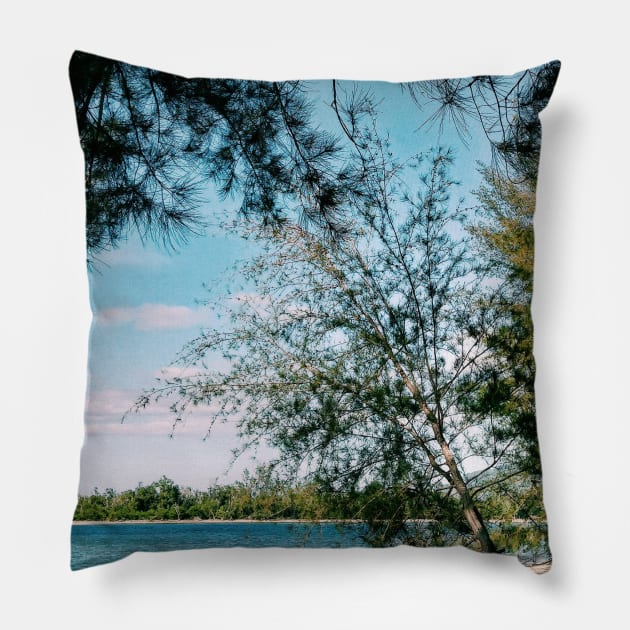 Pine Trees by The Ocean Pillow by Nita Sophian