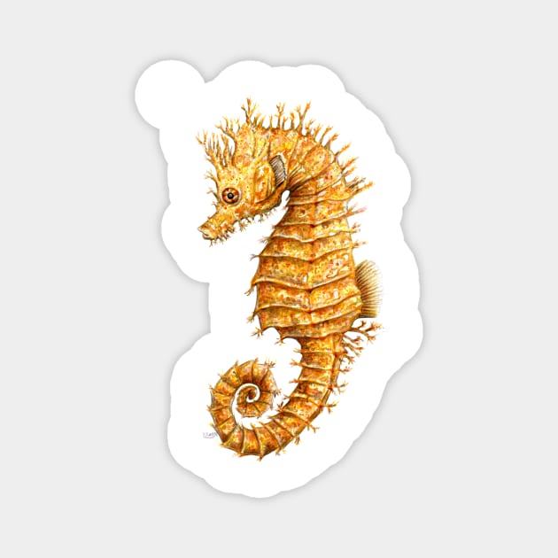 Yellow seahorse Hippocampus Magnet by chloeyzoard