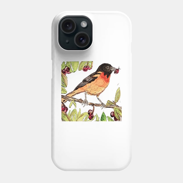 Baltimore Oriole, pretty bird eating cherries Phone Case by Walters Mom