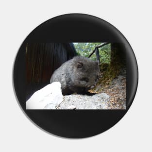Cute Wombat Pin