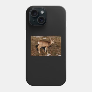 Doe Phone Case