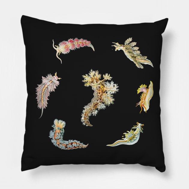 Nudibranch Set Classic Colors Pillow by aeolia