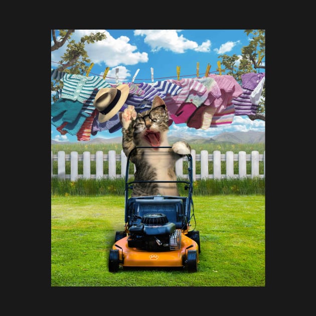 Cat Mowing by Random Galaxy