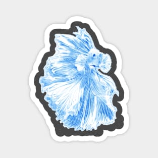 betta fish sketch Magnet