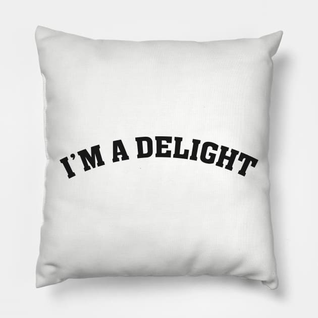 I'm a Delight Funny Saying Pillow by Flow-designs