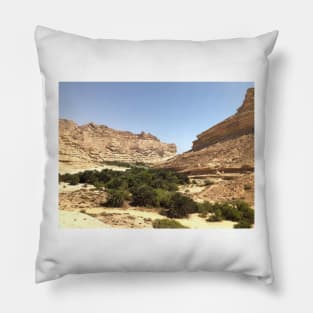 Oasis at Oman Pillow