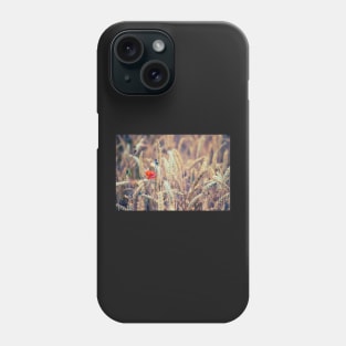 Wild Poppy in the Wheat Field Phone Case