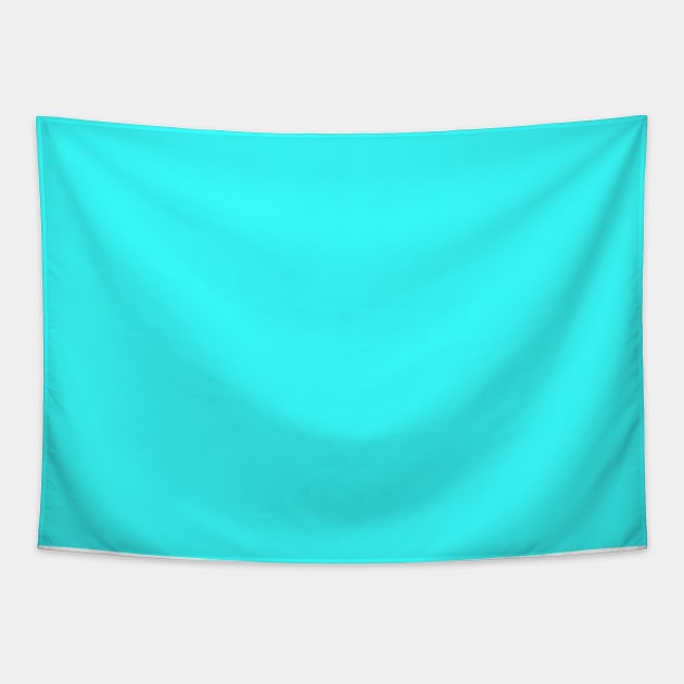 Aqua Blue Solid Color Tapestry by Whoopsidoodle