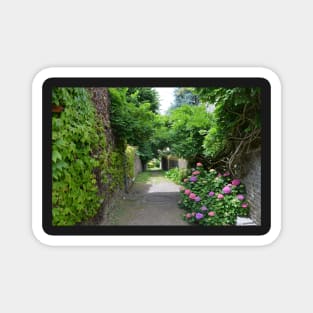 Alley lined with flowers Magnet