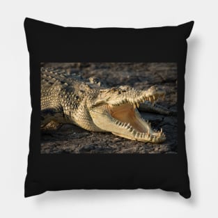Saltwater Crocodile, Kakadu National Park Northern Territory Pillow
