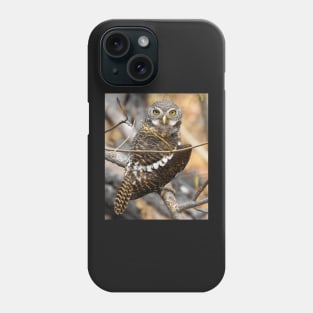 African Barred Owlet Phone Case