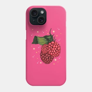 Raspberry Sorbet Phone Case
