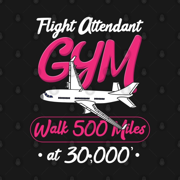 Flight Attendant Gym by maxdax