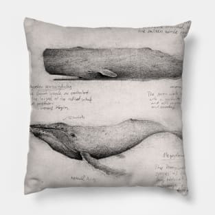 Whale Pillow