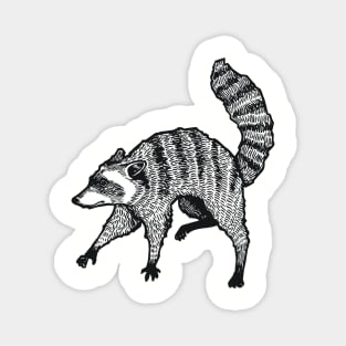 A Levity of Animals: A Coon's Age Magnet