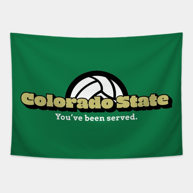 Show Your Support for Colorado State Volleyball! Tapestry by MalmoDesigns