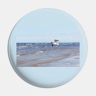 Two seagulls flying above the water Pin