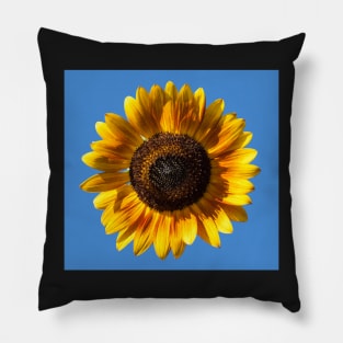 Blue and Yellow Pillow