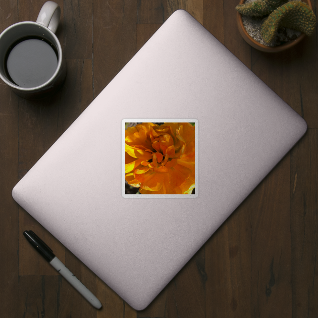 Fall Fire Flame - Photomersion - Sticker | TeePublic