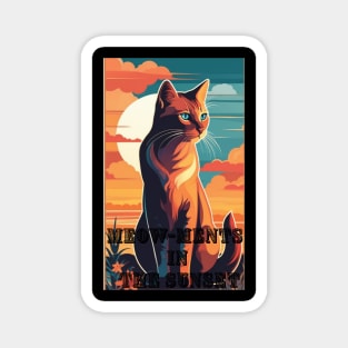 Meow-ments in the Sunset Magnet